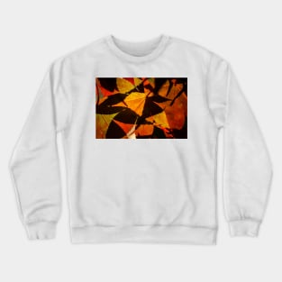 Backlit Acer Palmatum Leaves Crewneck Sweatshirt